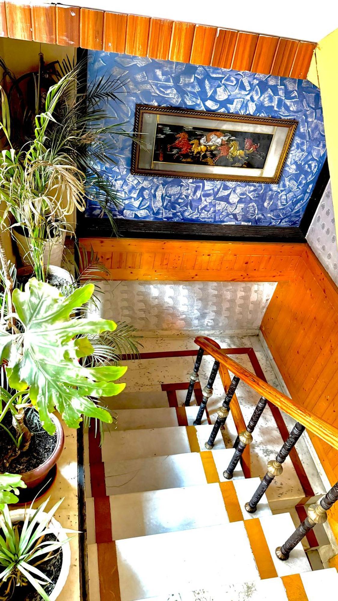 Hotel Apple Regency Shimla Bagian luar foto